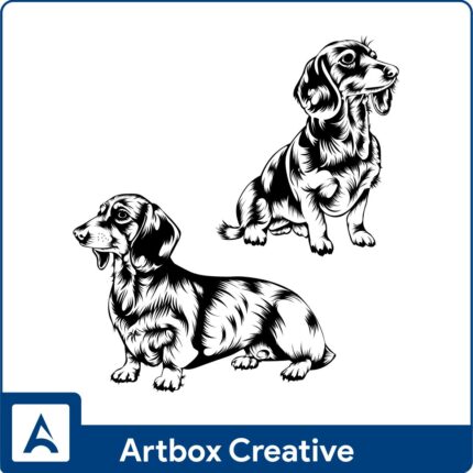 Dachshund Dog vector
