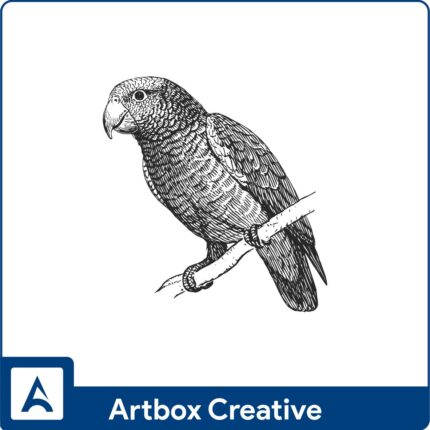 Grey parrot design